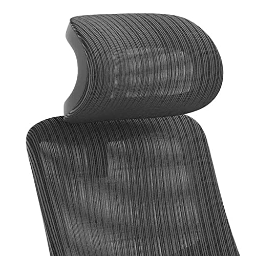 Truweo Ergonomic Executive Office Chair - Big And Tall With Inline Skate Caster Wheels – Heavy Duty Lumbar Support High Back With Premium Gas Lift #TOP3