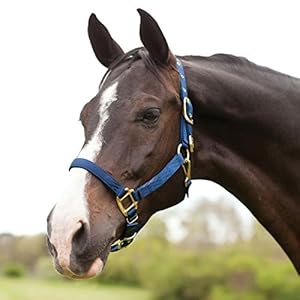 Hamilton 1-Inch Nylon Halter with Adjustable Chin,...