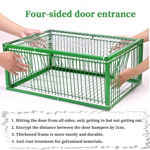 Trampa para palomas y palomas, solución eficaz para la cría y la ventana para el control de aves
