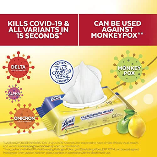 Lysol Handi-Pack Disinfecting Wipes, Brighter Horizon, Country Scent, (Pack of 4 - 320ct Total) - image 5