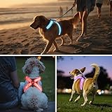 LED Leuchtgeschirr für Hunde - Aufladbar & Reflektierend Hundegeschirr, 3-Lagiges Air Mesh für Atmungsaktivität & Komfort, Verstellbar für Mittelgroße bis Große Hunde, Nachtsicherheit für Spaziergänge