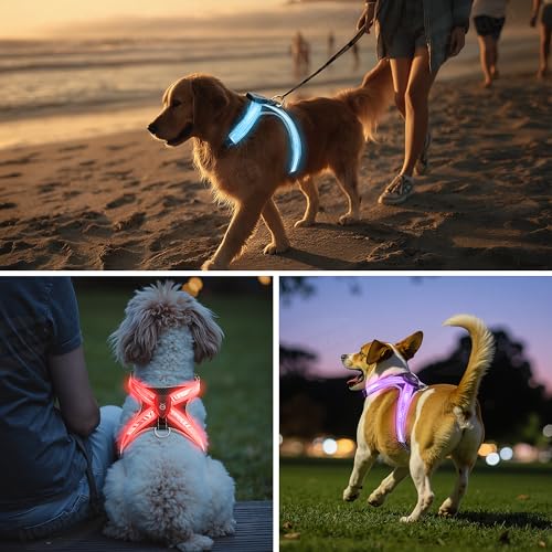 LED Leuchtgeschirr für Hunde - Aufladbar & Reflektierend Hundegeschirr, 3-Lagiges Air Mesh für Atmungsaktivität & Komfort, Verstellbar für Mittelgroße bis Große Hunde, Nachtsicherheit für Spaziergänge