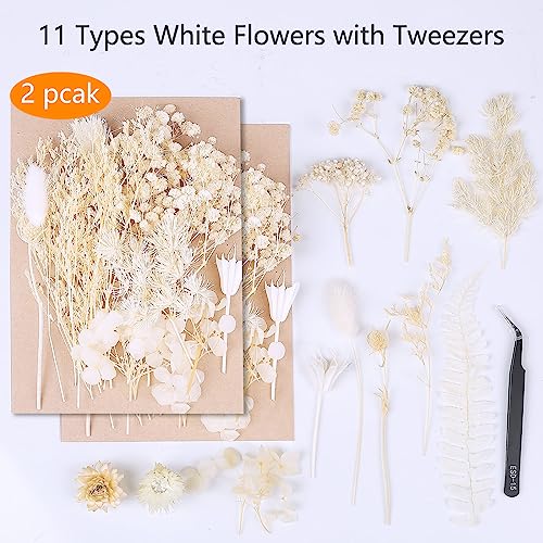 2 Pack White Dried Pressed Flowers, Real Plant Leaf Flower with Tweezers for Resin Molds Scrapbooking Supplies Wedding Bouquet Jewelry Making (White)