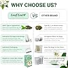 LeafLea 40 Jasmine Green Tea Bags, Premium Green T... #5