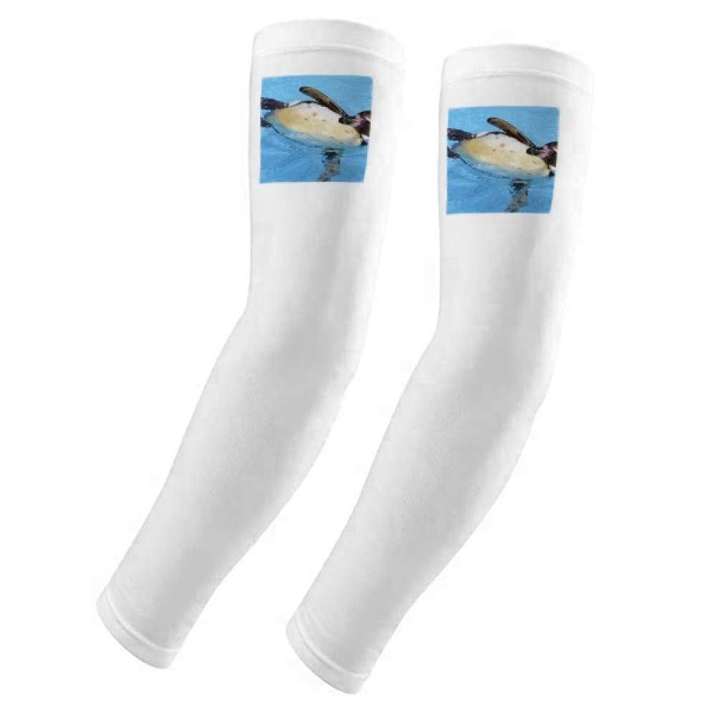 Manchons de natation Antarctique Pingouin Science Nature Image - 5