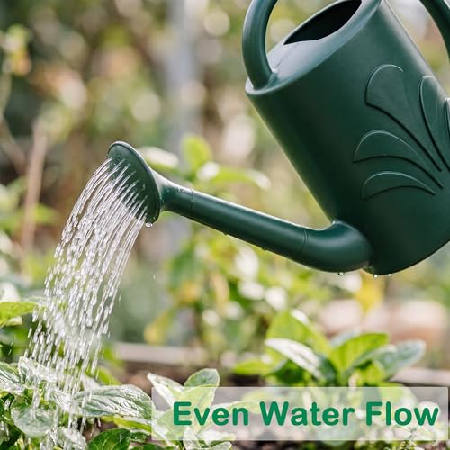 1 Gallon Watering Can Outdoor, Watering Can for Indoor & Outdoor Plants, Flower with Detachable Sprinkler Head - Image 4