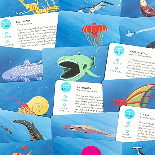 Laurence King Deep Sea Discovery: A Card Game for Ocean Explorers - Thumbnail 7
