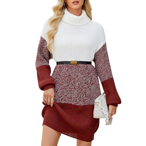 Women's Turtleneck Sweater Dress Color Block Long Sleeve Casual Knit Bodycon Fall Pullover Sweater Dresses