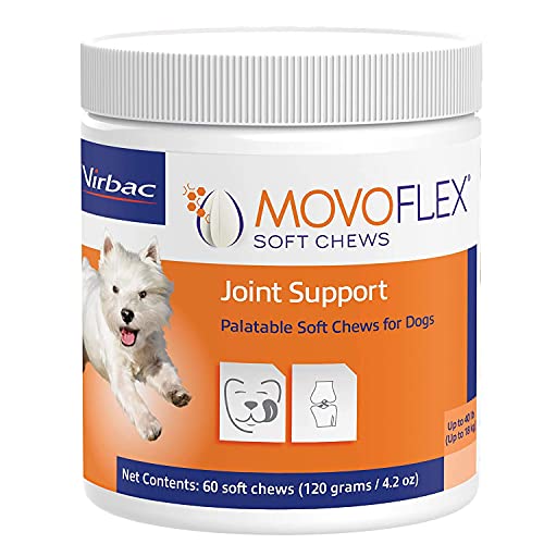 9 Best Thing For Joint Pain In Dogs By 92,570 Reviews
