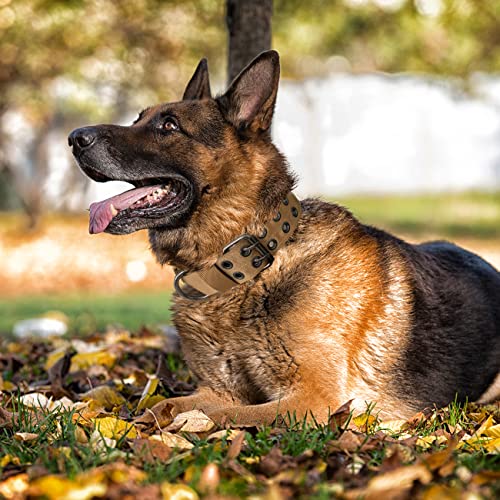 Taktisches Hundehalsband-Militärisches Hundehalsband verstellbares Nylon breit Trainings Halsband und strapazierfähige Metallschnalle Halsband für Mittlere Große Hunde (Rosa, L)