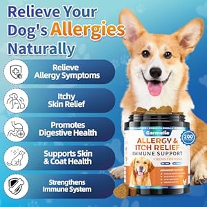 Dog Allergy Chews 200 Chews - Dog Itching Skin Relief Treatment - Omega 3 Probiotics for Dog - Itchy & Paw Licking Relief, Seasonal Allergies, Skin & Coat Immunity Supplement - Chicken Flavor Dog Allergy Chews 200 Chews Dog Itching Skin Relief Treatment Omega 3 Probiotics for Dog Itchy Paw Licking Relief Seasonal Allergies Skin Coat Immunity Supplement Chicken Flavor