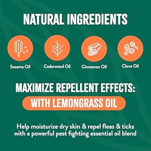 Tropicleanmaxstrengthfleaandtickshampootreatmentfordogspowerfulnaturaldefensepreventionforlargesmalldogsmadeinusa20oz Urban Country Home Decor Tropiclean max strength flea and tick shampoo treatment for dogs powerful natural defense prevention for large small dogs made in usa 20oz urban country home decor