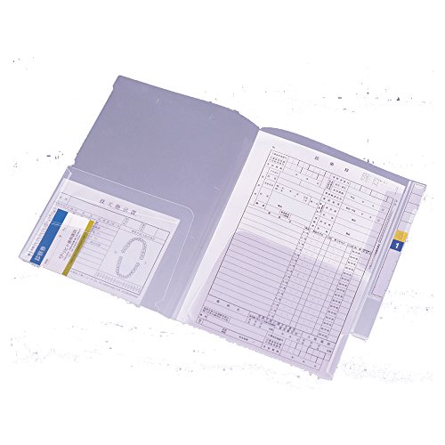 リヒトラブ カルテフォルダー フラップ付 ダブル 100枚入 A4 HK2006