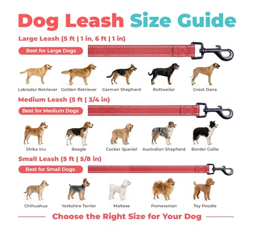Image of Best Pet Supplies Voyager Reflective Dog Leash or Collar with Neoprene Handle, for Small, Medium, and Large Breed Puppies, Cute and Heavy Duty for Walking, Running and Training - Red (Leash), M