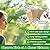 Window Bird Feeder for Outside with Waterproof Seed Storage – Strong Suction Cups, Large Capacity, Easy to Clean, Gifts for Bird Lovers