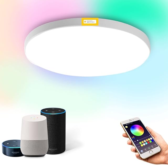Smart LED Ceiling Light WiFi Ceiling Light 24W 1920lm RGB 2700K - 6500K Dimmable, App/Voice Control Compatible with HomeKit/Alexa/Google Home for Living Room/Bedroom IP54 Waterproof No Hub Required