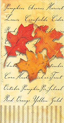 Boston International IHR 16-Count Guest/Dinner 3-Ply Paper Napkins, 8.5 x 4.5-Inches, Autumn Splendor