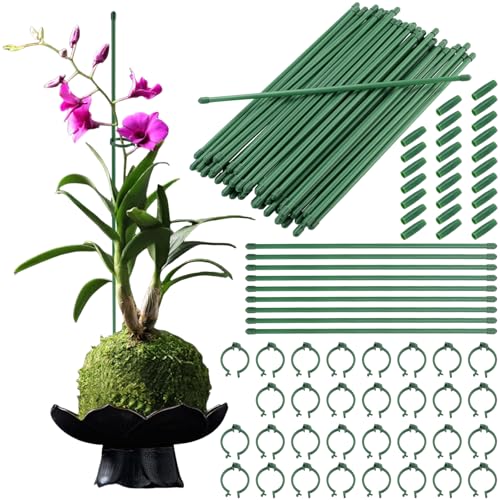 KEILEOHO 50 Stück Pflanzstäbe Pflanzenstütze 30 cm, Blumenstütze Kunststoff Grün, Pflanzenstab Plastik Garten Pflanzenhalter Tomatenstäbe mit 25 Steckverbinder und 50 Kunststoffring