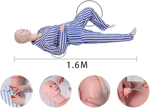 Miniatura 4 de GHDE&MD Maniquí de entrenamiento de 63.0 in con genitales intercambiables para enfermería, entrenamiento médico, enseñanza, suministros médicos