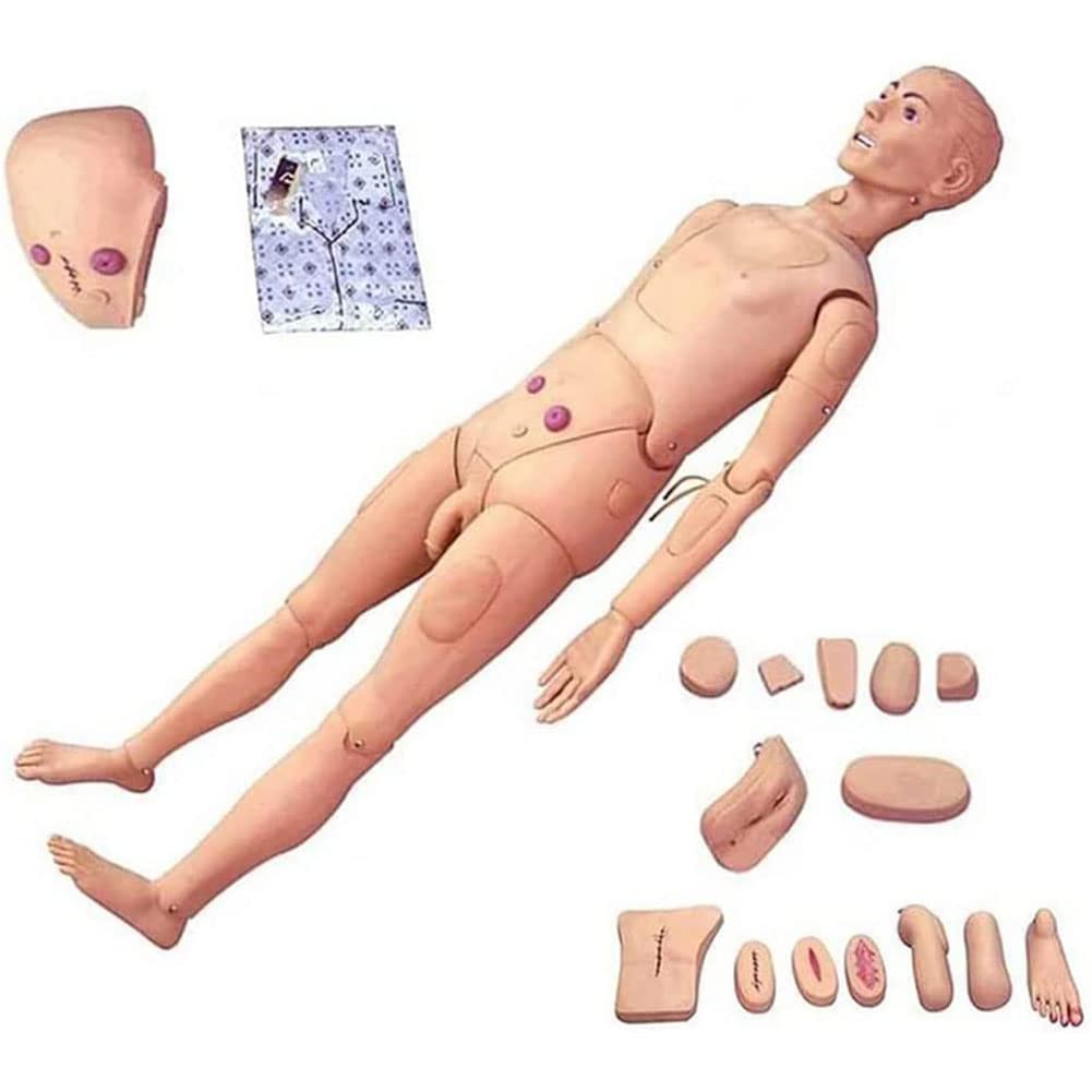 YNIYUJKL Female-Male Professionalmanikin Model Nursing Skills Mannequin Patient Education Teaching Model Interchangeable Demonstration Manikin