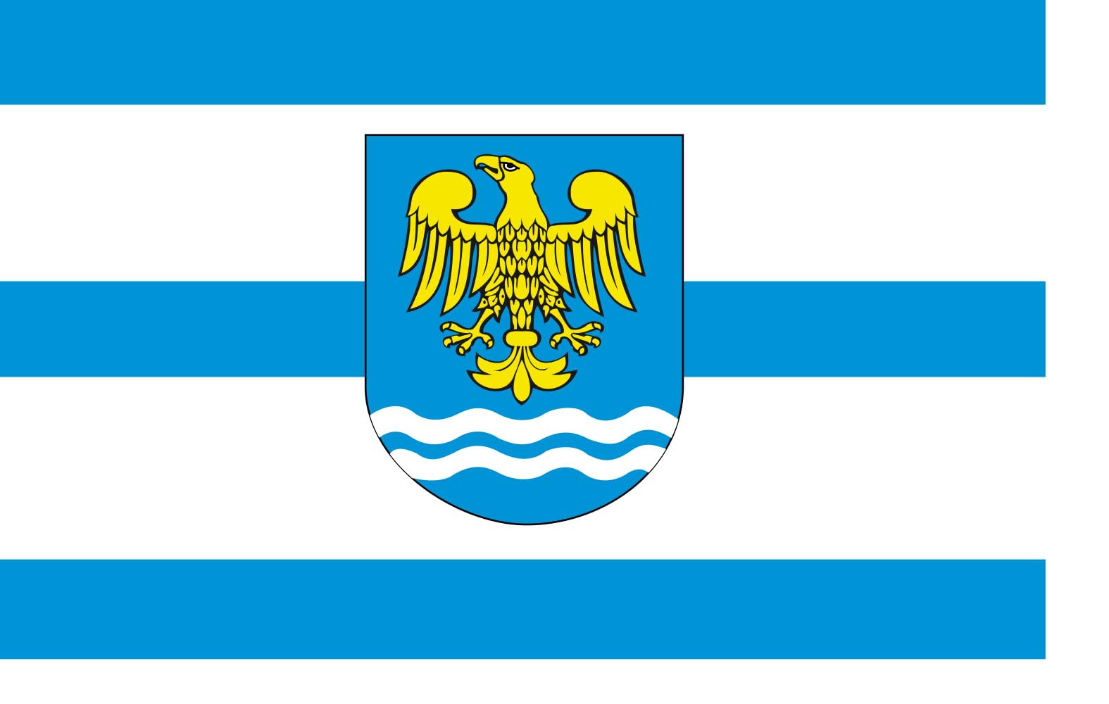 Drapeau XL Godów grand pavillon gmina Godów commune Pologne