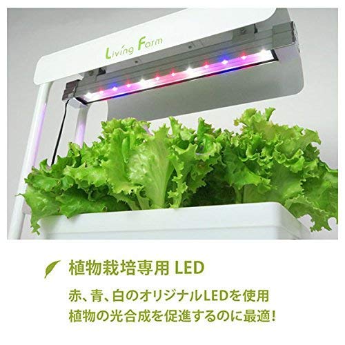 Living Farm LED植物育成スタンド mqdefault.jpg