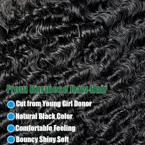 Burmese Curly Bundles Human Hair 12 Inch Human Hair 4 Bundles 100% Unprocessed Quick Weave 3c4a Real Human Hair Extensions Natural Black - Image 5