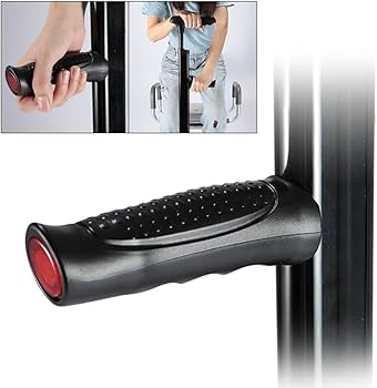 松葉 錦五葉松【B81-1437】 | JA香川県 高松盆栽の郷オンラインストア