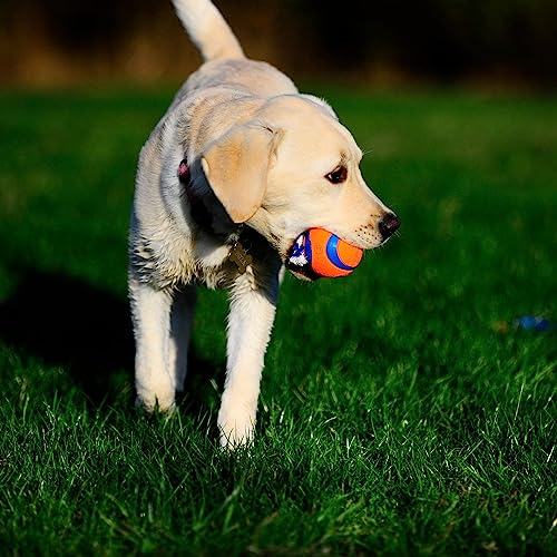 Image of Chuckit! Ultra Toss Dog Toy, Medium Indoor and Outdoor Dog Toy for Dogs 20-60 Pounds