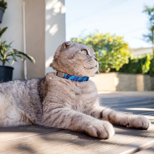 ROGZ Fusion Katzenhalsband mit Sicherheitsschnalle, Geo-Blau