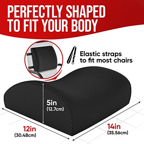 Fortem Chair Cushion/Seat Cushion For Office, Lumbar Support For Chair, Car, Back Support Memory Foam Pillow Washable Cover (Black, Mesh) #TOP3