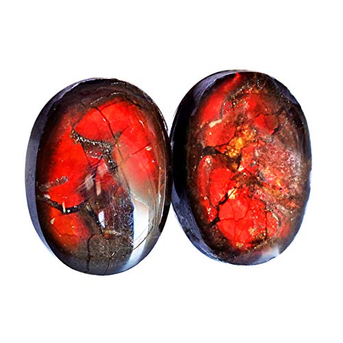Ammolite naturelle avec ammonite : sublimez vos tenues avec ces cabochons