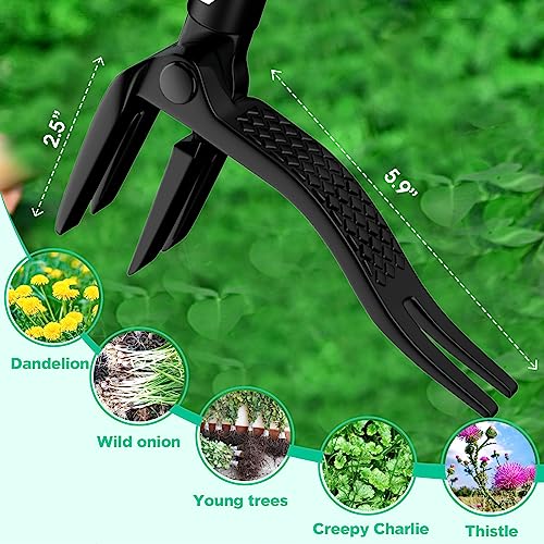 Lilyvane CHUCAOJIA-MSH2.0 Weed Puller With Long Handle- 63Inch thumb #3