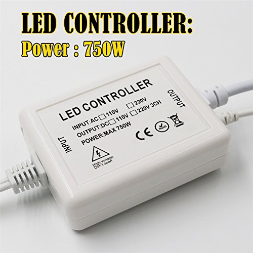 IEKOV Max 750W Adaptador fuente AC 110V a DC 110V con control remoto miniatura 3