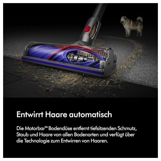 Dyson V8 Absolute kabelloser Staubsauger