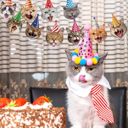 Image of Hooqict Cat Birthday Banner Birthday Party Decorations for Backdrop Cat Happy Birthday Banner Garland Sign for Girls Boys Kids 1st 2nd 3rd Party Supplies Hanging Decor