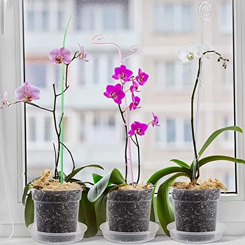 LATERN 30Pcs Clear Orchid Pots, 11.5CM Plastic Flower Plant Pot Hard Nursery Pots Seedlings Pots with Drainage Holes for Indoor Outdoor Garden Balcony - with 30Pcs Plant Labels