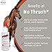 Four Oaks Farm Ventures, No Thrush Dry Powder Treatment for Horses - Wound Care, Scratches, Rain Rot, Mud Fever, Coat Issues - All Natural Ingredients, Non-caustic, Easy to Use Powder Formula (2.5 oz)