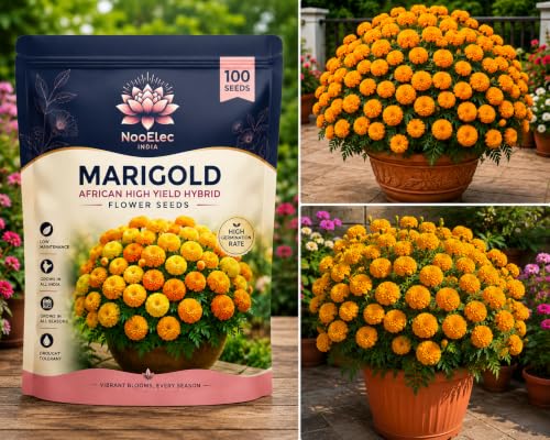 Image of Marigold African Hybrid Flower Seeds - 5x More Flowers
