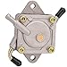 1014523 club car fuel pump Kit, Compatible with Club Car Gas Golf Cart DS Precedent 1984 UP 290FE 350FE Kawasaki Engine Replace OEM 49040-2067