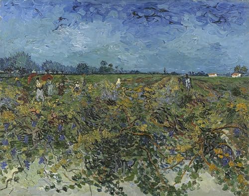 Toile le vignoble vert de Van Gogh | Impression murale salon 60x90cm
