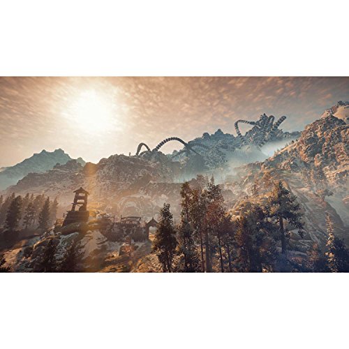 Image of Horizon Zero Dawn - PlayStation 4