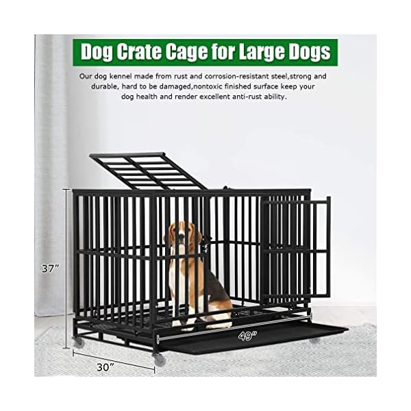 BestPet Heavy Duty Dog Crate for Large Dogs,48 Inch Metal Dog Kennel Outdoor Double-Door Pet Dog Cages with Divider Panel &,Plastic Tray & Locks Design,Black BestPet Heavy Duty Dog Crate for Large Dogs,48 Inch Metal Dog Kennel Outdoor Double-Door Pet Dog Cages with Divider Panel &,Plastic Tray & Locks Design,Black