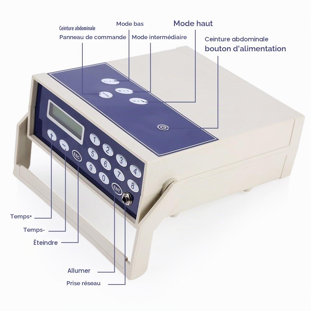 Ion Detox Foot Spa Machine de Détoxication Ionique Portable Confortable Machine à Double Détoxification pour Bains de Pieds Pour améliorer la circulation sanguine(110V-220V Norme européenne)