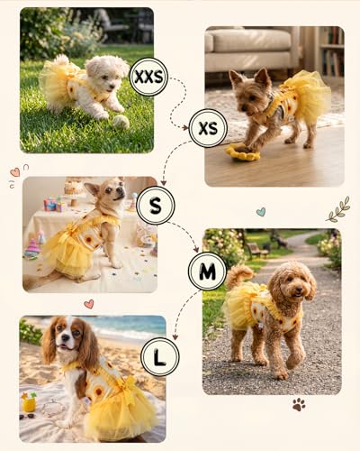 Image of CuteBone Sunflower Tutu Pet Dress for Small Dogs, Cats - Double-Layer Yellow Tulle Skirt - Back Satin Bow - Summer Party, Photo Shoot Dress