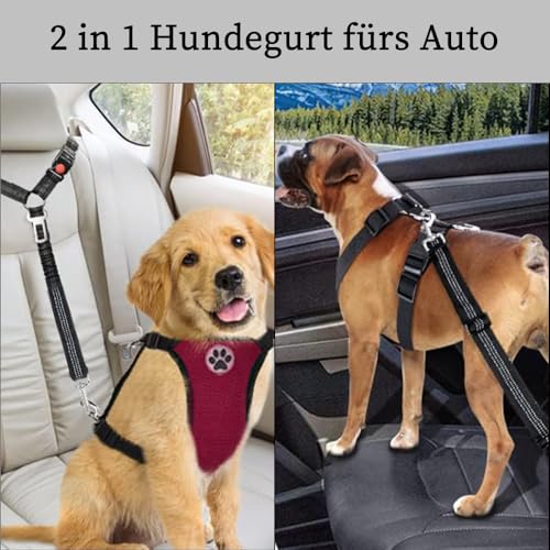 Viwind Hunde Autogeschirr, verstellbares 2-in-1-Design, reflektierende Streifen und stoßdämpfende Kordel. Universalschnalle passend für alle Hundegrößen und alle Automodelle. (Schwarz)