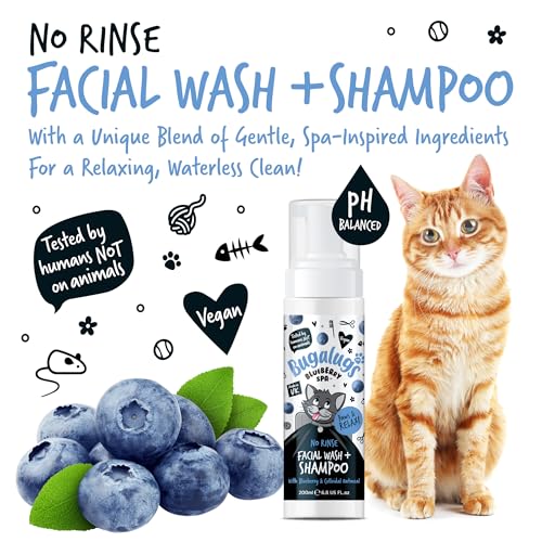 Bugalugs Cat Face Wash Dry Shampoo for Cats, Blueberry Spa Facial no rinse shampoo tear stain remover for cats eyes Brightens & Refreshes pets faces with a hypoallergenic fragrance - Image 4