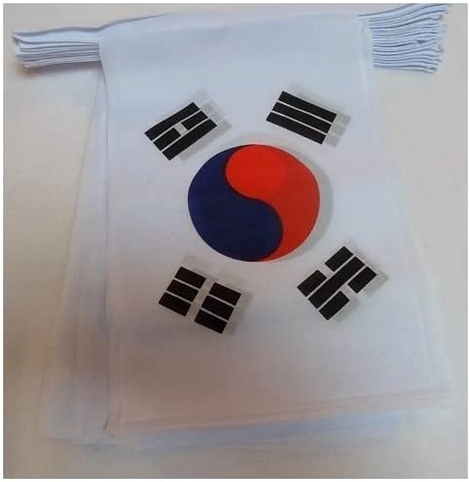 South Korea 6 meters BUNTING Flag 20 flags 9'' x 6