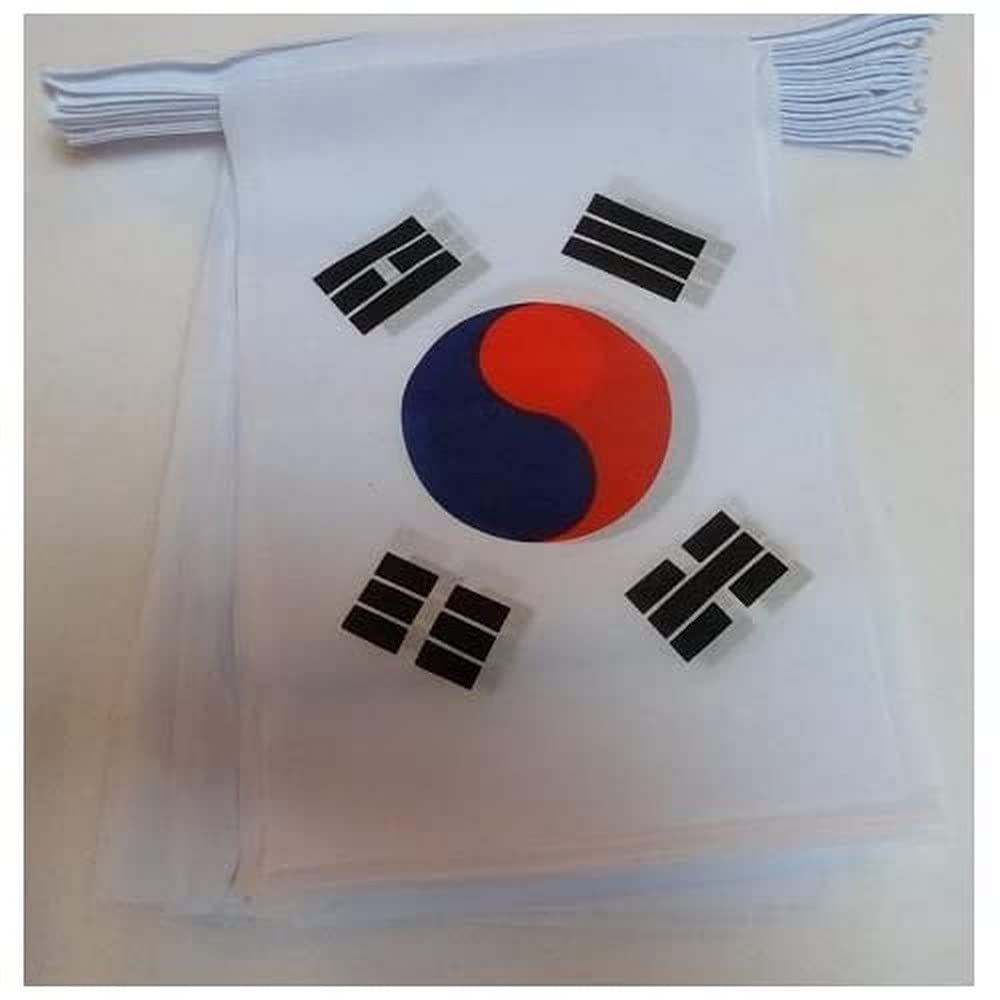 AZ FLAG South Korea Bunting Flag, 20 Ft Garland with 20 Small South Korean Flags 8'' x 6'', 100% Polyester String Pennant, 6 meters — view 2