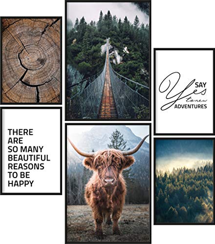 Preisvergleich Produktbild Poster Set Wildnis / 6 fertig gerahmte Bilder in schwarzen Holzrahmen / 2X 30x40cm und 4X 21x30cm / Galloway Natur Wald Holz